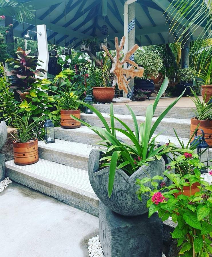 Villa Charme De L'Ile La Digue Bagian luar foto