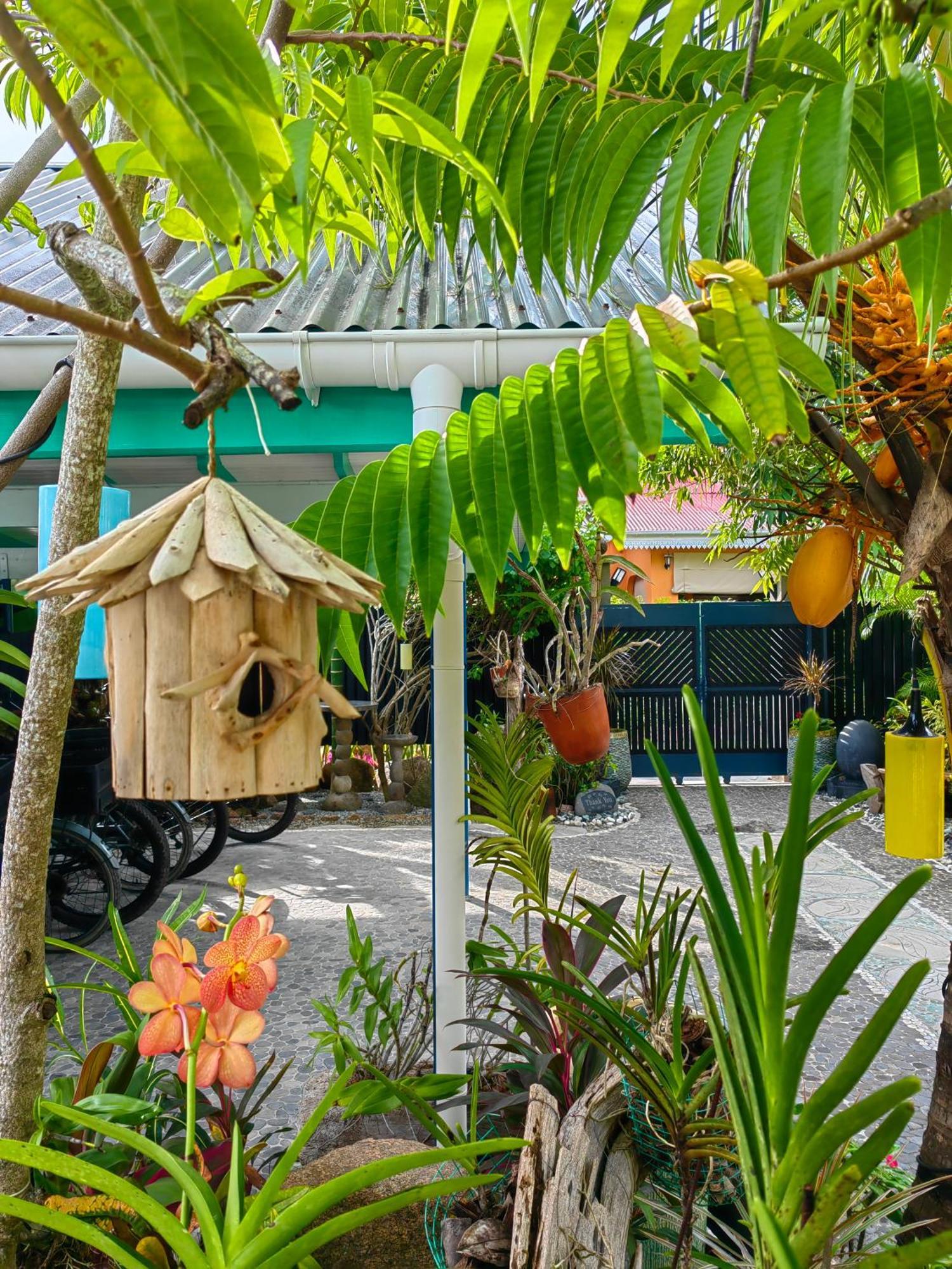 Villa Charme De L'Ile La Digue Bagian luar foto