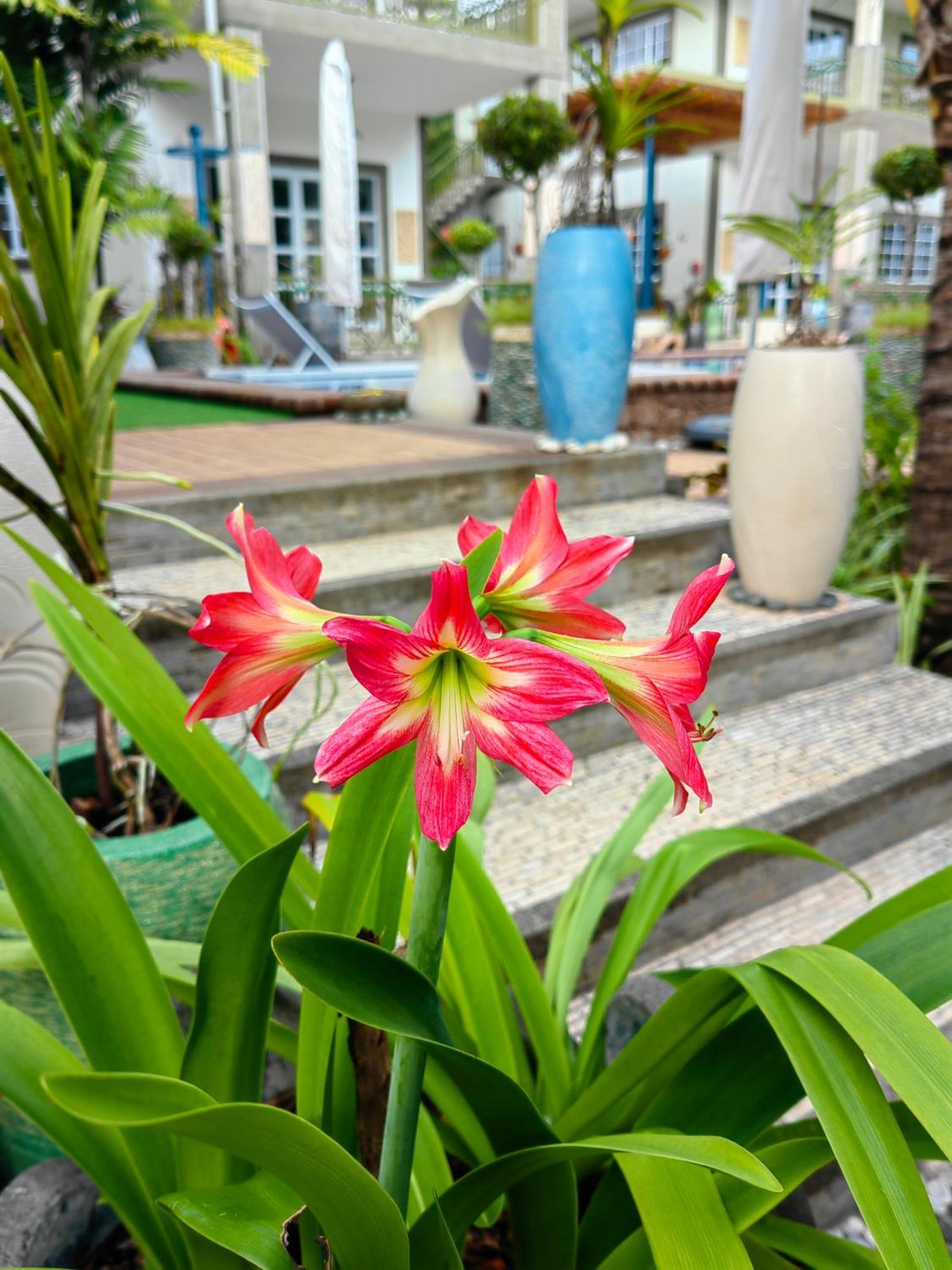 Villa Charme De L'Ile La Digue Bagian luar foto